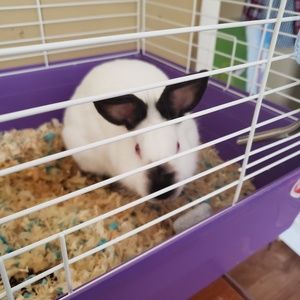 Meet your Posher, Patrick